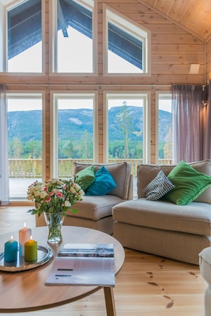 TV, fireplace, stereo