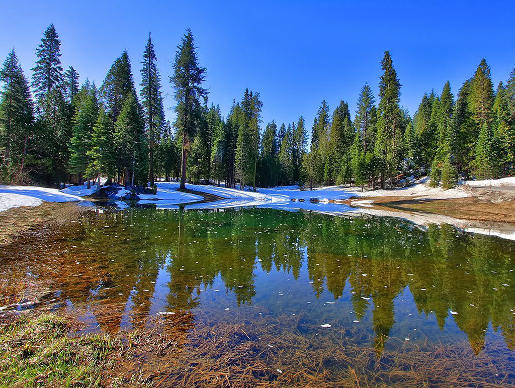 Lago