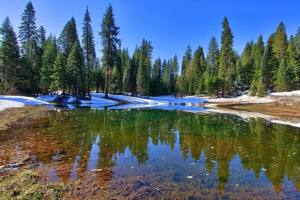 Lago