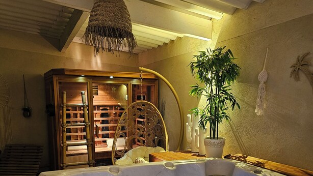 A hot tub with blue lighting, a wicker chair, a potted plant, and a wooden structure with shelves. - house for rent. (Caumont-sur-Durance)