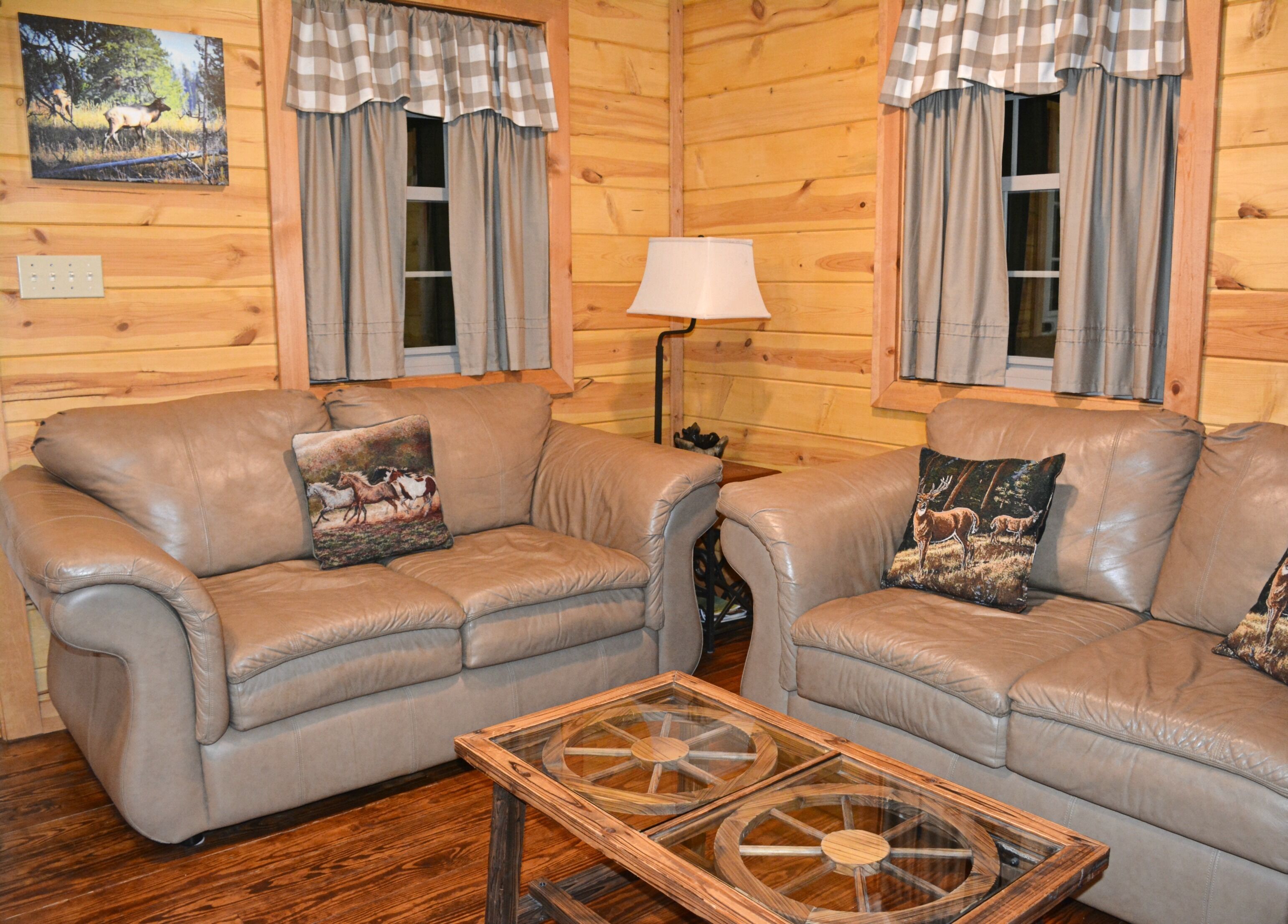 Smart-tv, pejs, bøger