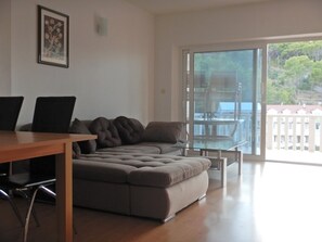 TV, fireplace, DVD player