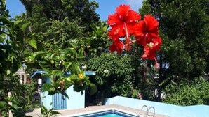 A clear blue swimming pool surrounded by lush greenery and a blue building. - Casa Clara | 6BR Villa with Pool & Ocean View | Sleeps 12, Bacolet Tobago (Tobago)