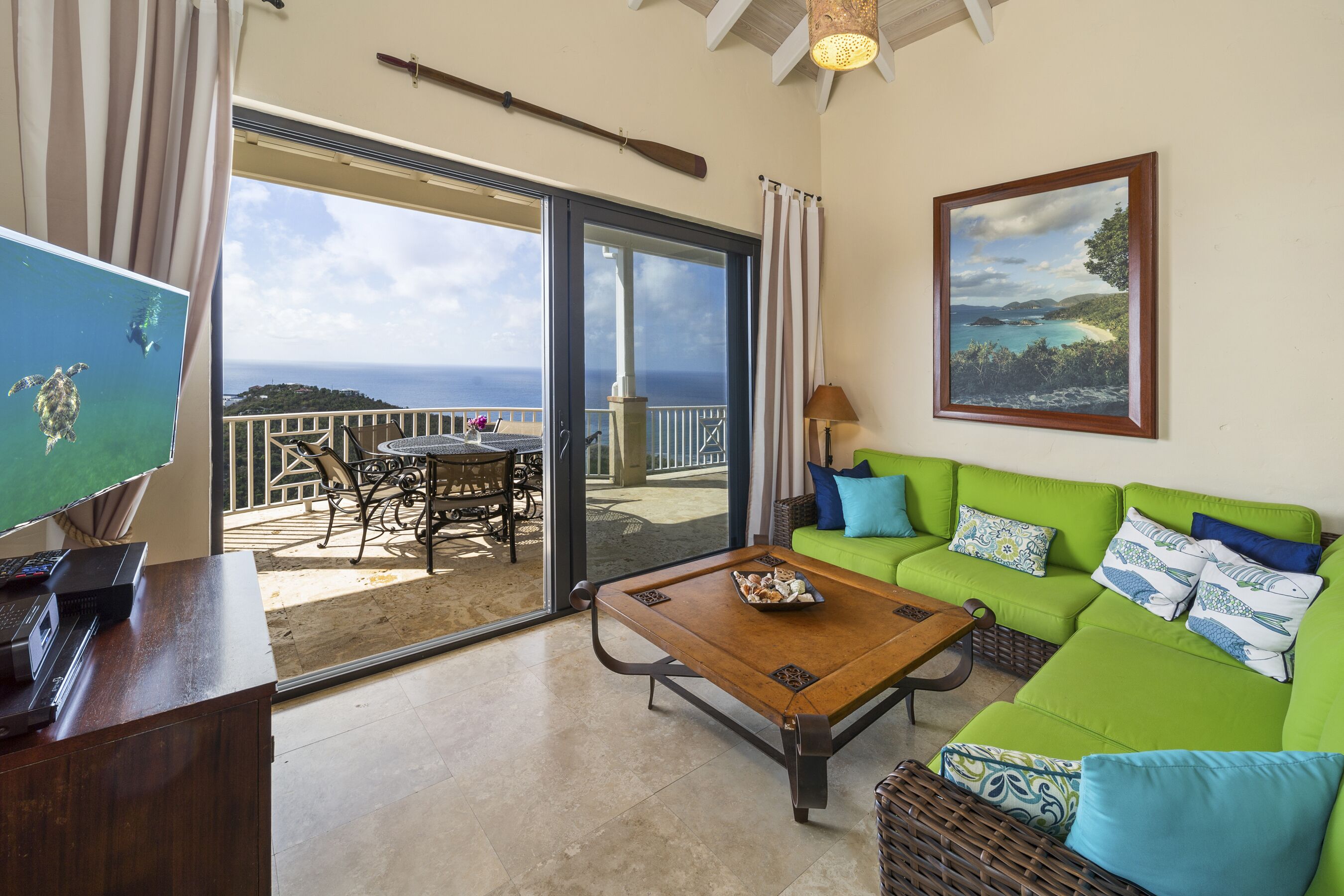 TV connectée, lecteur de DVD, livres, vidéothèque