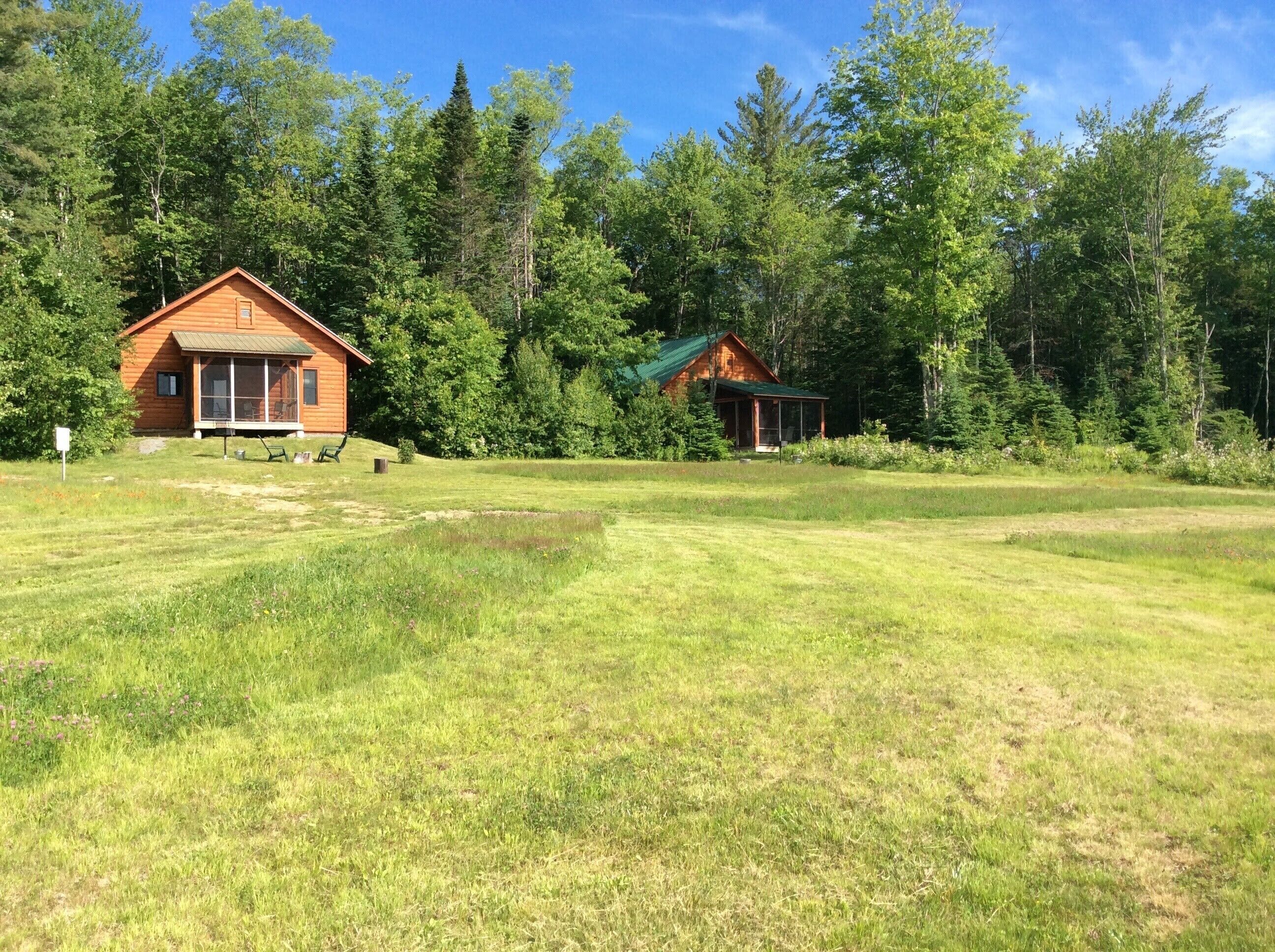 Two wooden cabins with large windows, surrounded by a grassy field and dense forest.