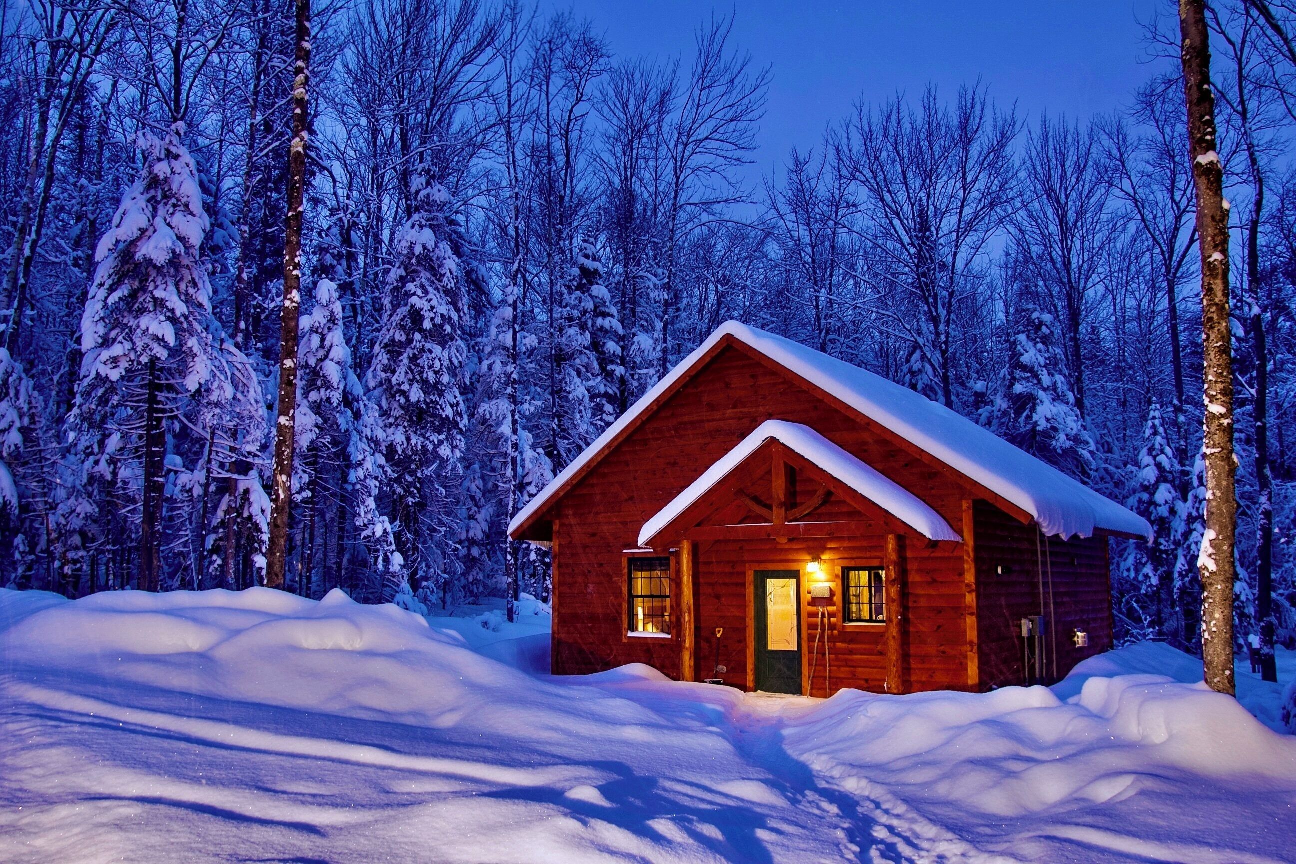 A wooden cabin with a snow-covered roof, surrounded by a forest.