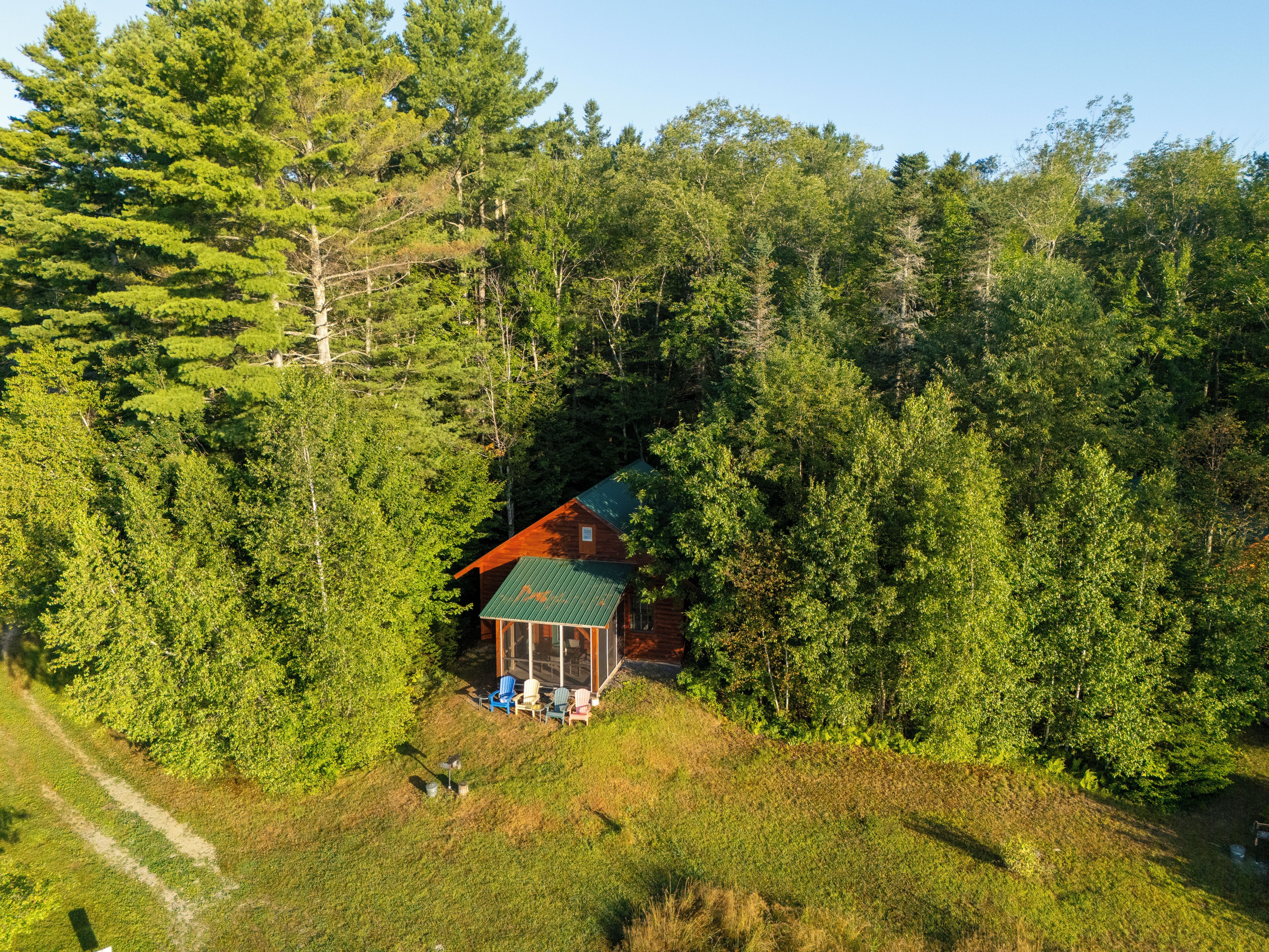 A cabin nestled in a forest with a clear view of the surrounding trees.