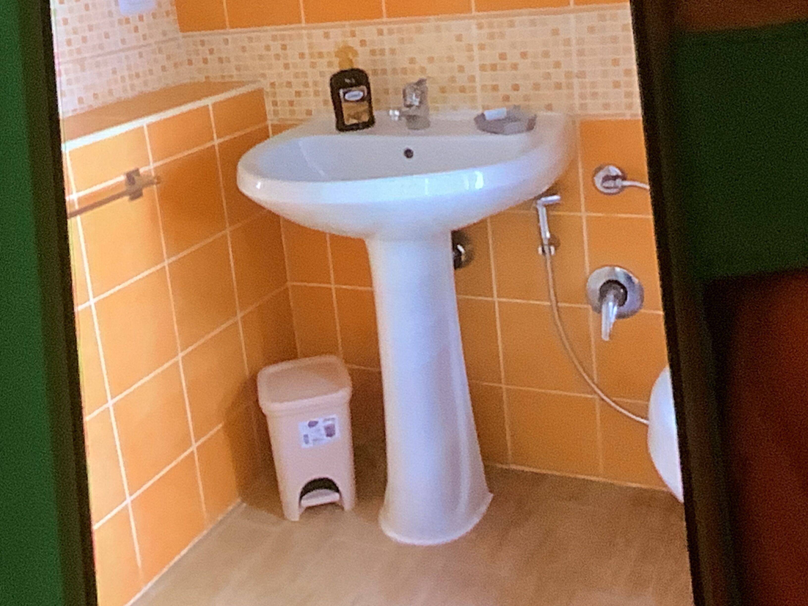 Ein Badezimmer mit weißem Waschbecken, einer kleinen Mülleimer und einer gefliesten Wand.