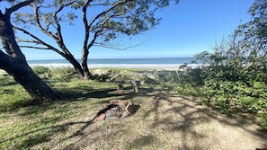 A natural setting with a picnic table and a fire pit, overlooking a beach.