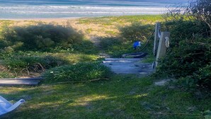 Un sendero que lleva a una playa con una estructura de madera y un objeto azul sobre el césped.