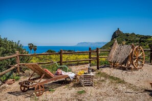 الإطلالة من المنشأة