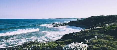 Playa