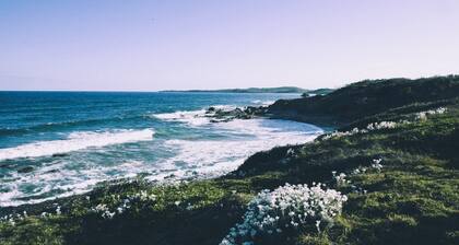 MINNIE BEACHHOUSE - Minnie Water, Yhdysvallat