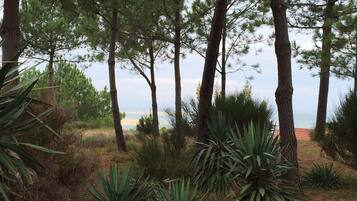 Ărea da propriedade