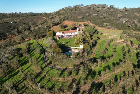 A large house surrounded by lush greenery and a small pool.