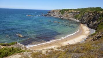 Camastros y toallas de playa