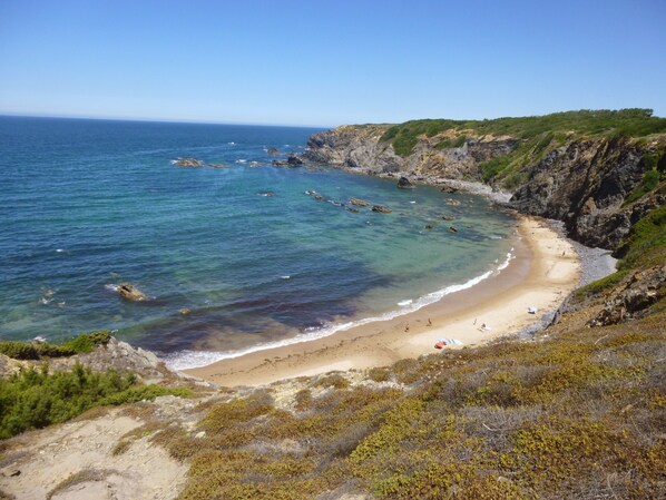 サンラウンジャー、ビーチタオル