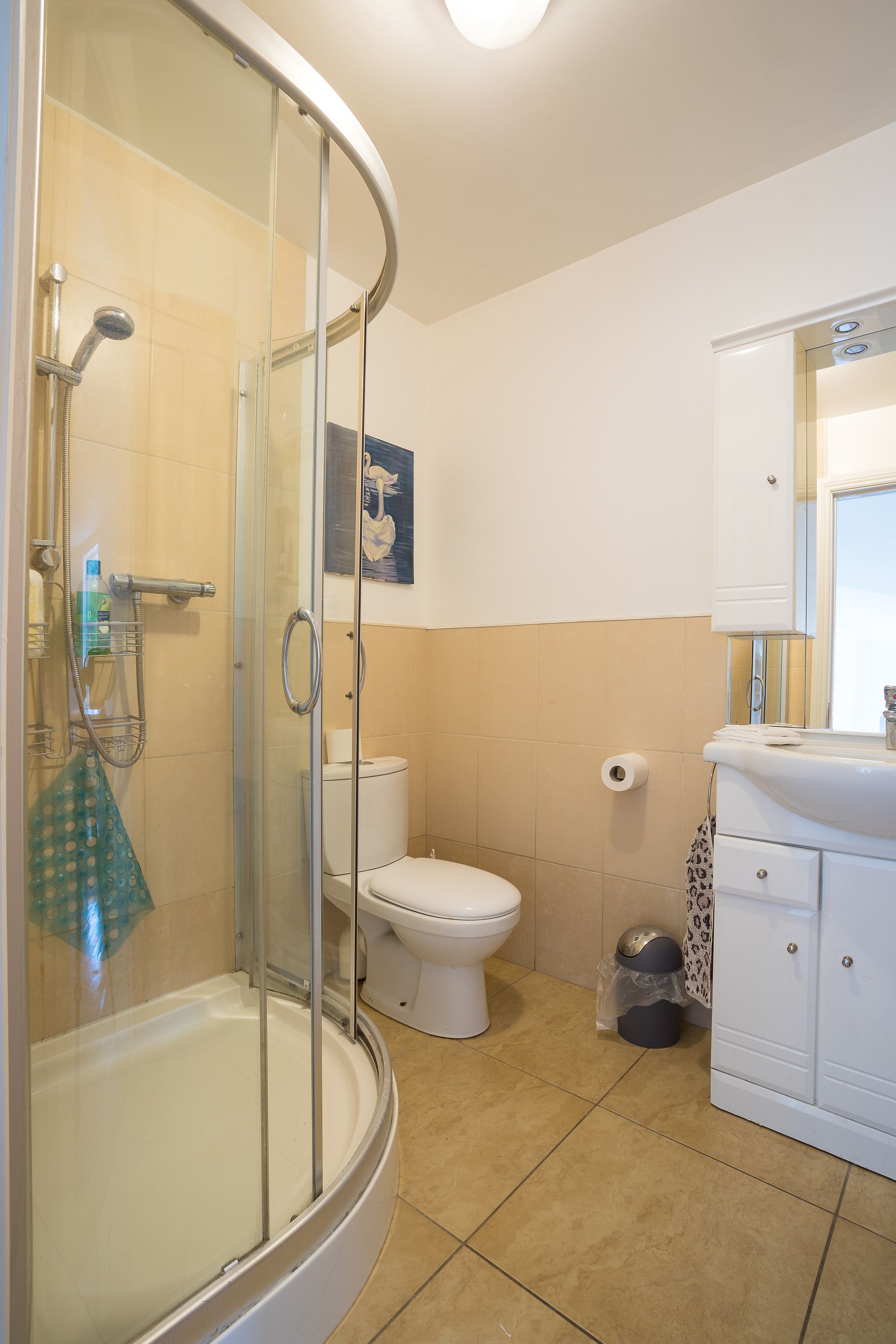 A bathroom with a glass-enclosed shower, a toilet, a sink, and a mirror.