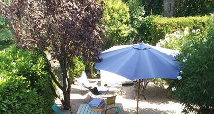 Authentic and historic Provençal Village House with private garden