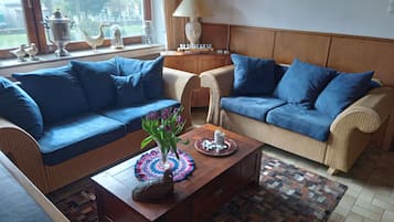 Smart TV, fireplace, books, music library