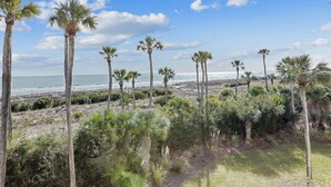 A beach with palm trees and a clear sky. - Direct Ocean Front End Villa w/ Screened Balcony (Hilton Head Island)