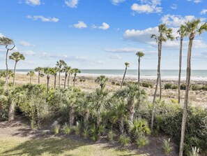 A beach with palm trees and a clear sky.
