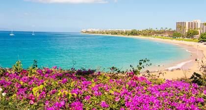 Hale Holokai at KAANAPALI VISTA~LUXURY Golf Course Ocean View Home 6 bedroom 3 bathroom~