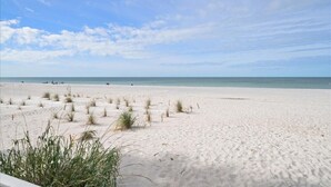 A beach with white sand and sparse vegetation.