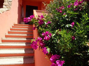 Scala d'ingresso all'appartamento / Up to the apartment