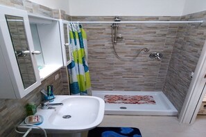 Regadera, secadora de cabello, bidet, toallas 