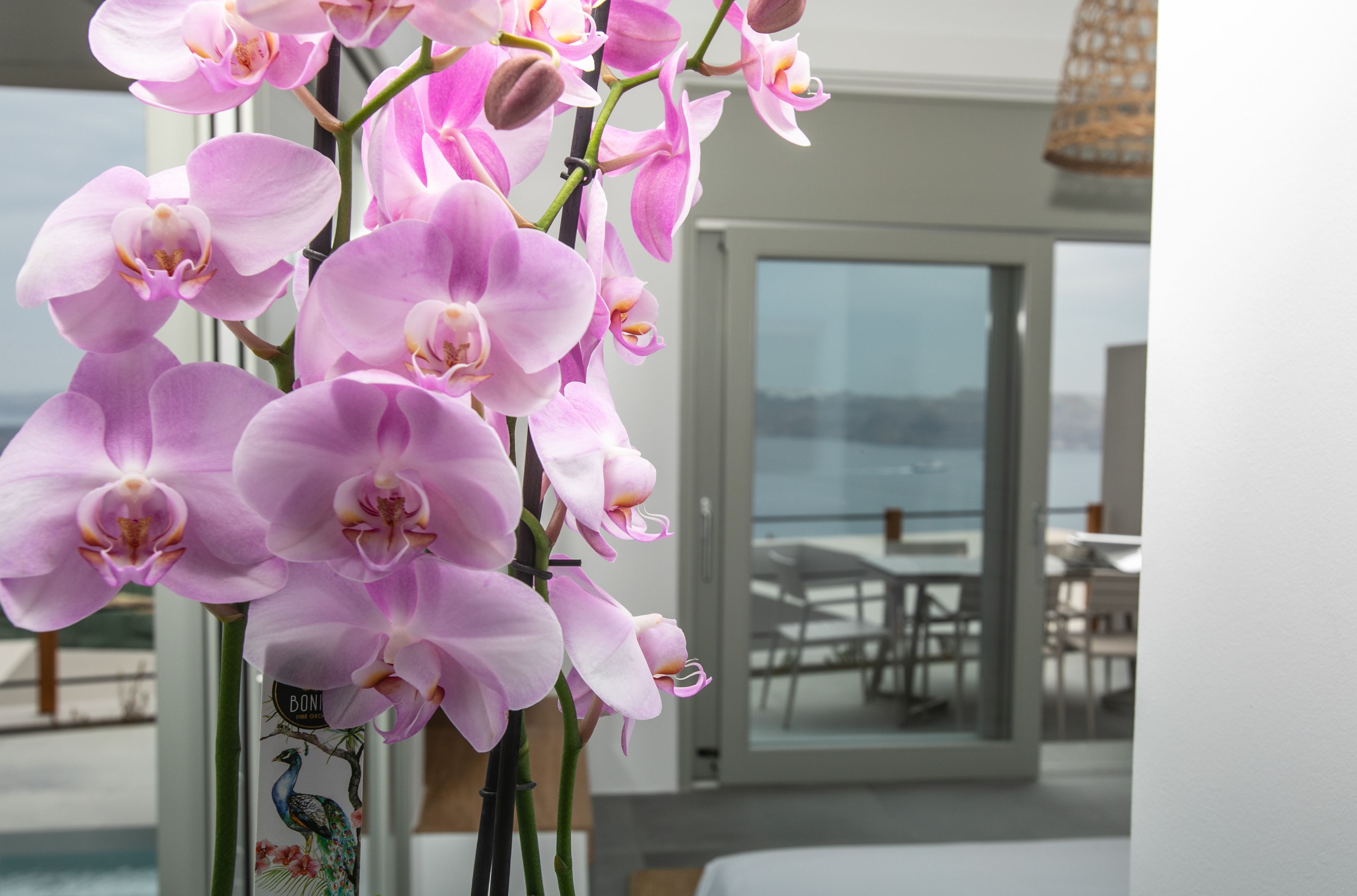 melidonia villa with caldera view and private pool | living area | smart tv