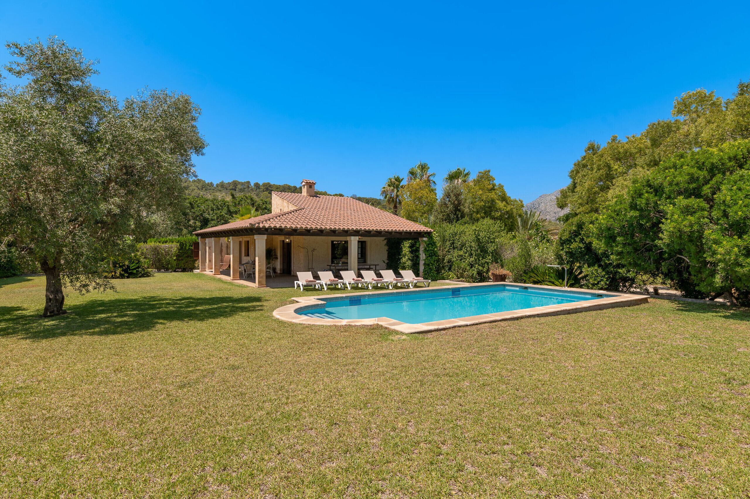 Ein Haus mit Schwimmbad, umgeben von einem gepflegten Rasen und Bäumen.