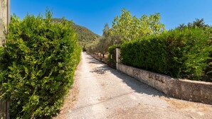 A gravel path flanked by dense green shrubbery and a low stone wall.