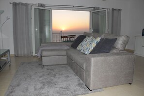 TV, DVD player, video library, stereo