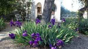 A garden with purple flowers and a white structure with arches. - Villa with private pool, large garden and leisure activities, 20 min from Madrid (Navalcarnero)