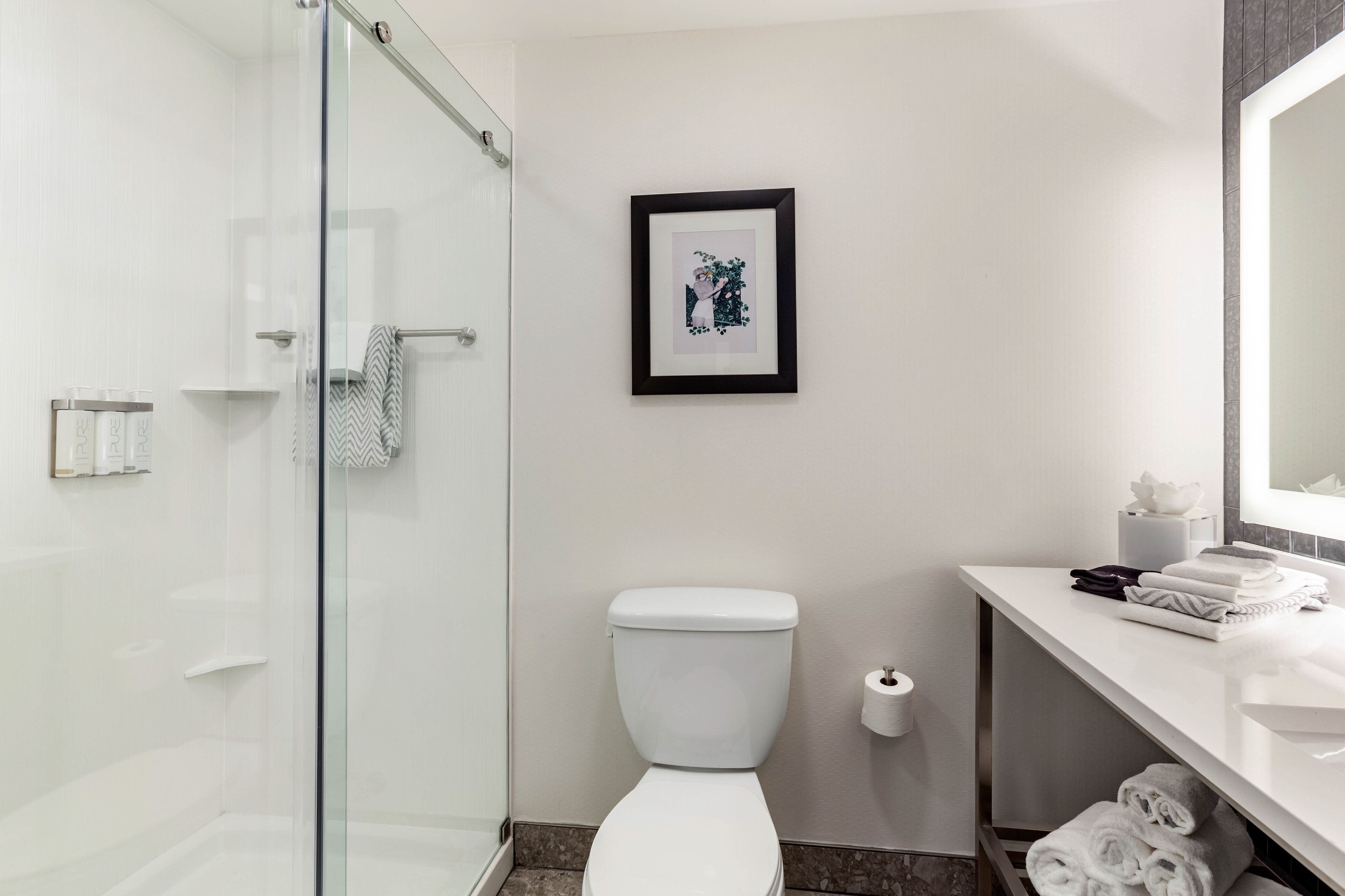 standard room, 1 king bed, non smoking | bathroom | rainfall showerhead, free toiletries, hair dryer, towels