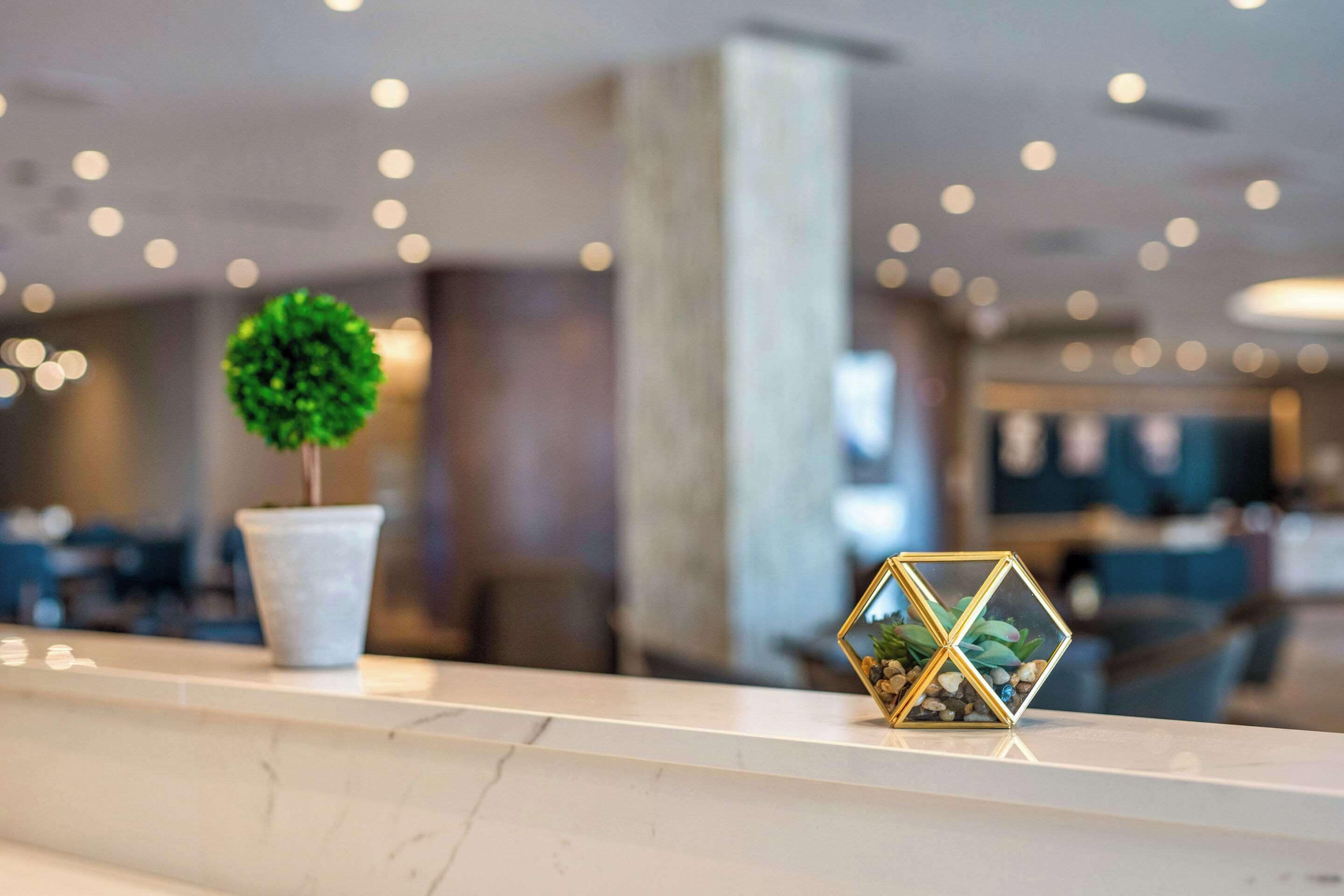 每日供应即点即煮早餐（需付费）