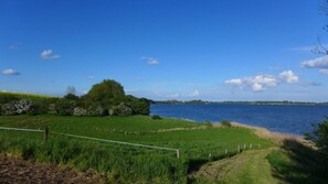 Imagem sem classificação, 3 de 37, botão