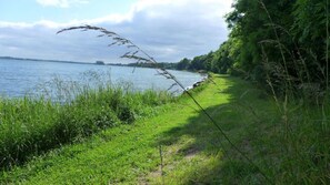 Imagem sem classificação, 4 de 37, botão