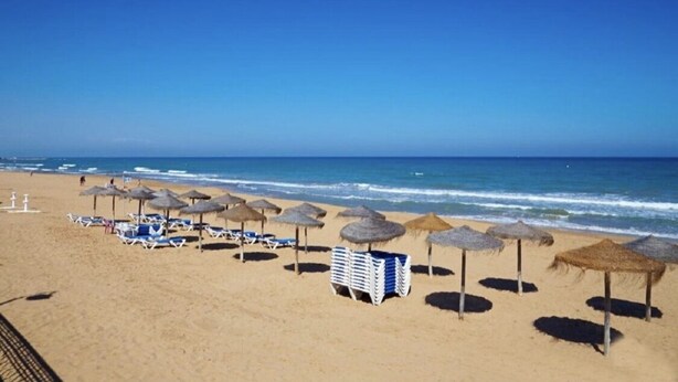 A beach with sun loungers and thatched umbrellas.