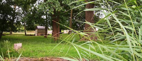 Un espacio natural al aire libre con un estanque, árboles y una estructura de madera.