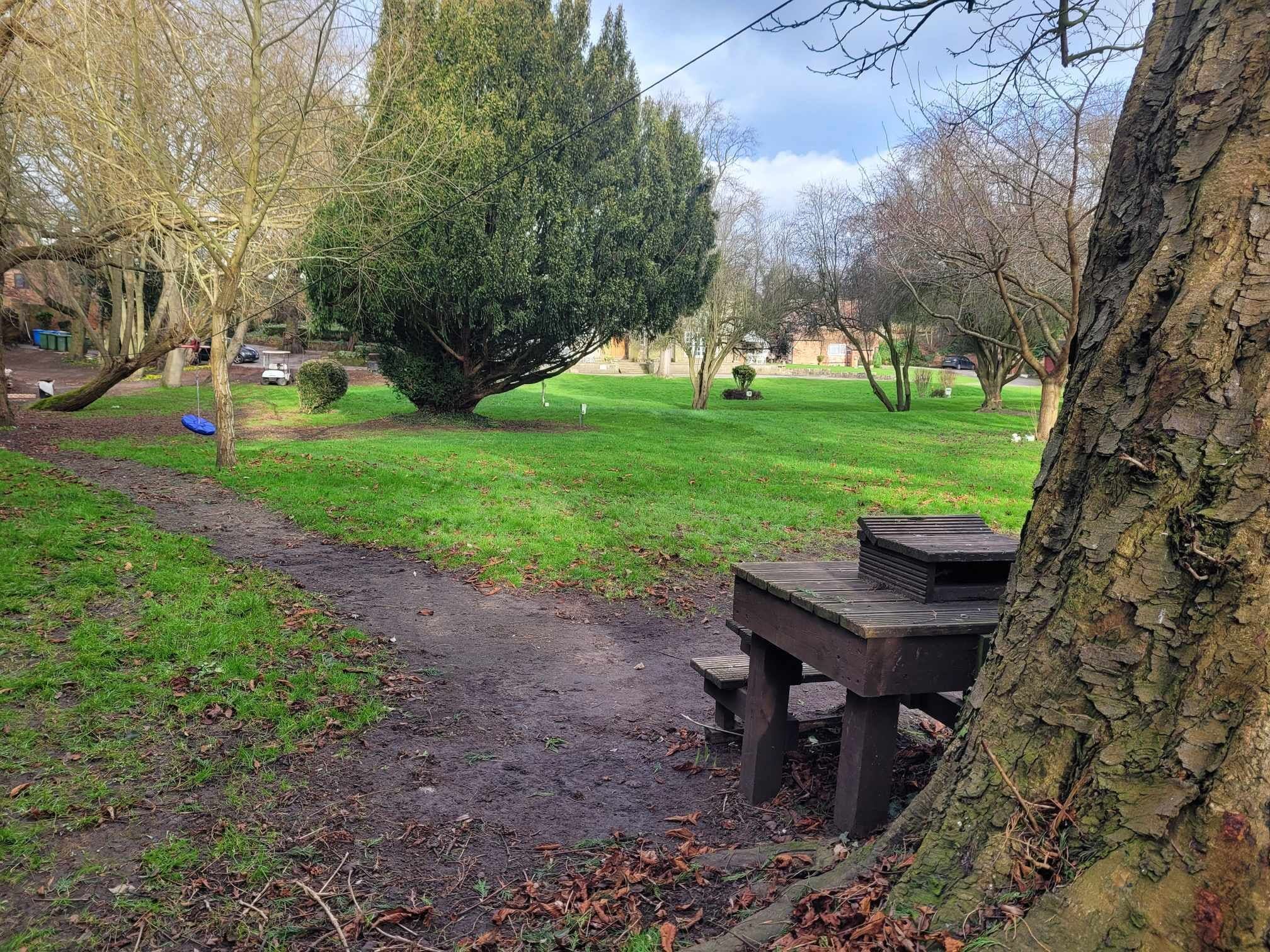 Ein Park mit einer hölzernen Bank, einem Feldweg und verschiedenen Bäumen.