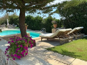 Imagen sin descripción, 2 de 61, botón