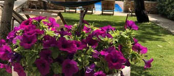 VILLA OCEANO seafarm vue mer Masseria - mer décente