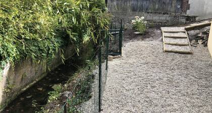 la orquidea al borde del agua