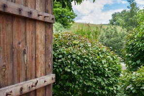 A wooden structure with metal hinges, surrounded by lush green foliage.