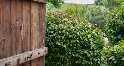 Entire house with private garden and pool in Reillanne in the Luberon