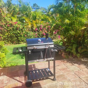 Property grounds - 3 Bedroom villa with pool on private gated community (Duncans)