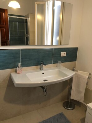 Shower, hair dryer, bidet, towels