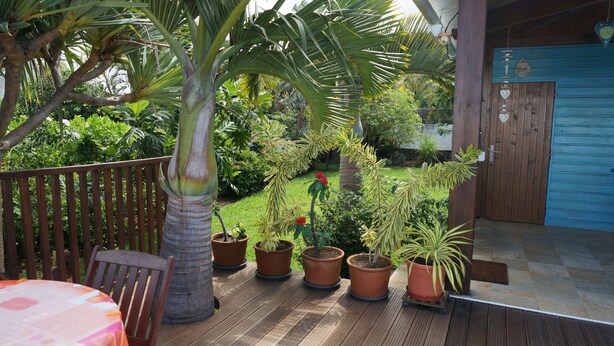 Eine Holzterrasse mit Tisch und Stühlen, umgeben von Kübelpflanzen und einer Palme.